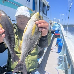 6月 5日（水）午前便、イサキ釣りの写真その6