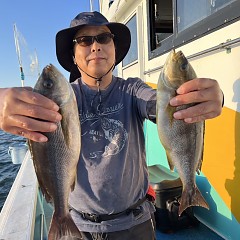 6月 5日（水）午後便、イサキ釣りの写真その2