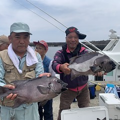 6月6日（木）午前便・イシダイ釣りの写真その1