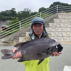 6月6日（木）午前便・イシダイ釣りの写真その3