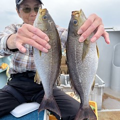 6月 6日（木）午後便・イサキ釣りの写真その6