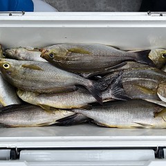 6月 13日（木）午前便・イサキ釣りの写真その9