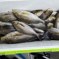 6月 17日（月）午前便・イサキ釣りの写真その7