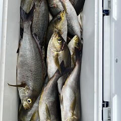 6月 17日（月）午前便・イサキ釣りの写真その8