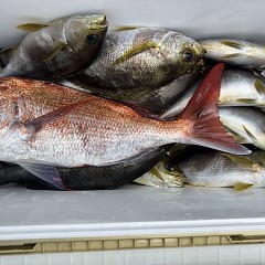 6月 17日（月）午前便・イサキ釣りの写真その9