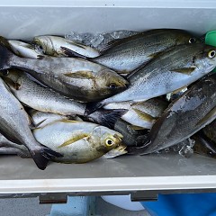 6月 19日（水）午後便・イサキ釣りの写真その9