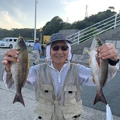 6月19日（水）午後便・イサキ釣りの写真その3