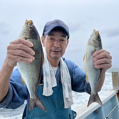 6月 20日（木）午前便・イサキ釣りの写真その4