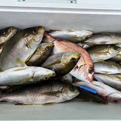 6月 25日（火）午前便・イサキ釣りの写真その8