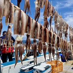 6月 29日（土）1日便・スルメイカ釣りの写真その11