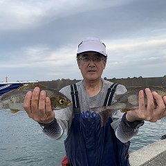 6月29日（土）午前・午後便・イサキ釣りの写真その2