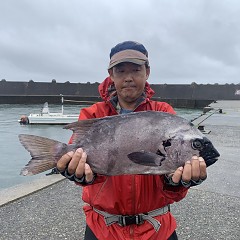 6月30日（日）午前便・イシダイ釣りの写真その2