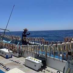 7月 5日（金） スルメイカ釣りの写真その9