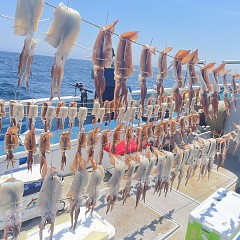 7月 7日（日）スルメイカ釣りの写真その1