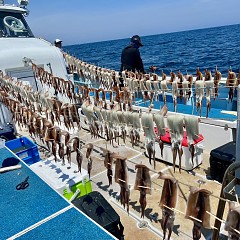 7月 7日（日）スルメイカ釣りの写真その2