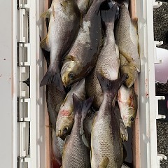 7月13日（土）午後便・イサキ釣りの写真その5