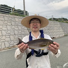 7月14日（日）午後便・イサキ釣りの写真その3