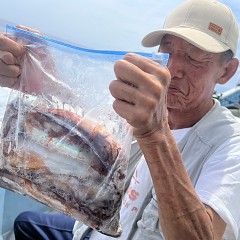 7月 17日（水）スルメイカ釣りの写真その6