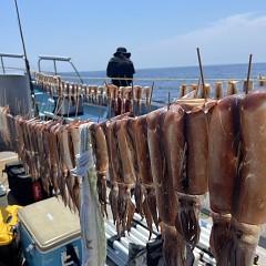 8月 3日（土）スルメイカ釣りの写真その6