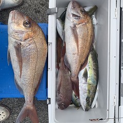 8月7日（水）午前便・タテ釣りの写真その4