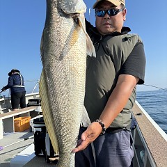 8月13日（火）午前便・タテ釣りの写真その5