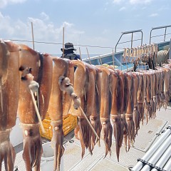 8月 14日（水）スルメイカ釣りの写真その4