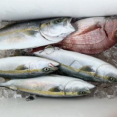 8月18日（日）午後便・タテ釣りの写真その9