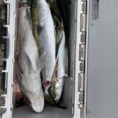 8月24日（土）午前便・タテ釣りの写真その9