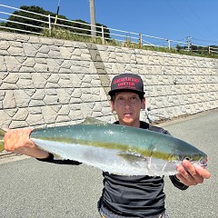 9月7日（土）午前・午後便・タテ釣りの写真その5