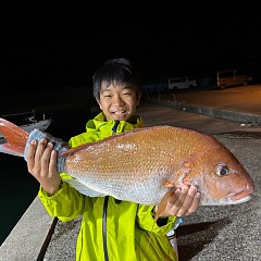 10月12日（土）午後便・ウタセマダイの写真その1