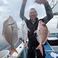 10月 17日（木）午後便・ウタセ真鯛の写真その1