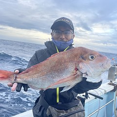 10月 18日（金）午後便・ウタセ真鯛の写真その1