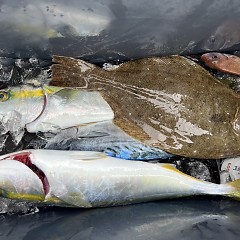 10月 20日（日）午前・タテ釣りの写真その12