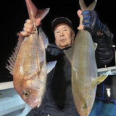 10月 27日（日） 午後便・ウタセ真鯛の写真その5