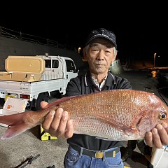 10月 31日（木）午後便・ウタセ真鯛の写真その1