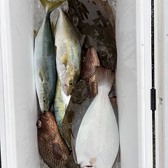 11月 2日(土)午前便・ヒラメ釣りの写真その1