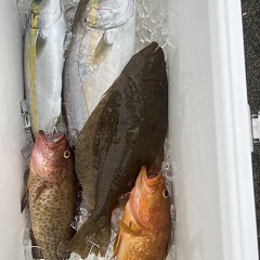 11月 2日(土)午前便・ヒラメ釣りの写真その5