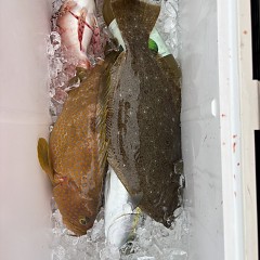 11月 2日(土)午前便・ヒラメ釣りの写真その7