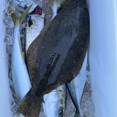 11月 3日（日）ヒラメ釣りの写真その2