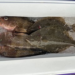 11月 3日（日）ヒラメ釣りの写真その5
