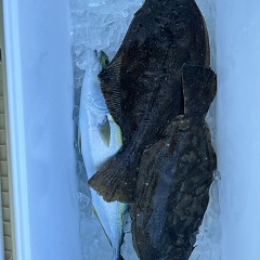 11月 3日（日）ヒラメ釣りの写真その6
