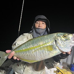 11月 3日（日）ウタセ真鯛の写真その2
