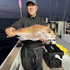 11月17日（日）午後便・ウタセマダイ釣りの写真その4