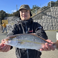 12月 4日（水）午前便・ヒラメ釣りの写真その3