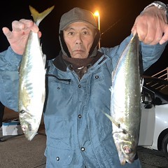 1月 14日（火）午後便・アジ釣りの写真その2