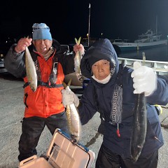 1月30日（木）午後便・アジ釣りの写真その1