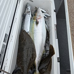 2月 2日（日）午前便・ヒラメ釣りの写真その6