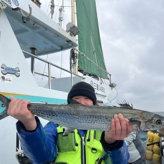 2月 2日（日）一日便・ヒラメ釣りの写真その6