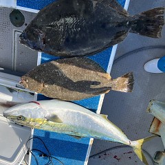 2月 7日（金）一日便・ヒラメ釣りの写真その10