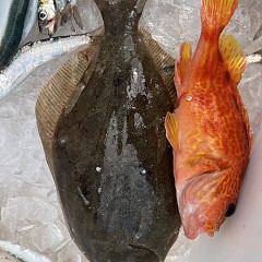 3月 2日（日）一日便・ヒラメ釣りの写真その9